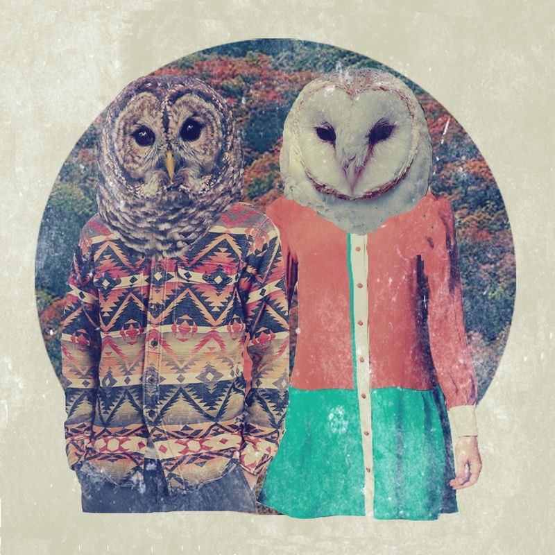 RomanaC - Hipster Guys Owls